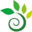 百科植物丨专业植物百科网站丨BKZW.COM