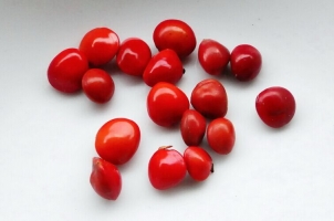 色泽鲜艳的红豆